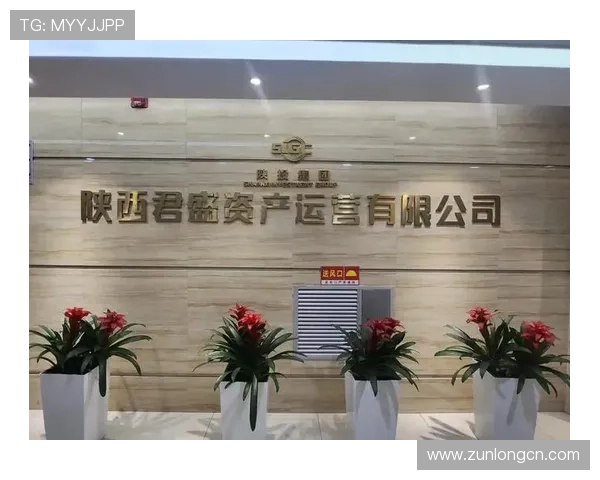 尊龙网址集团官网首页安全登录保障措施与账号安全维护方案